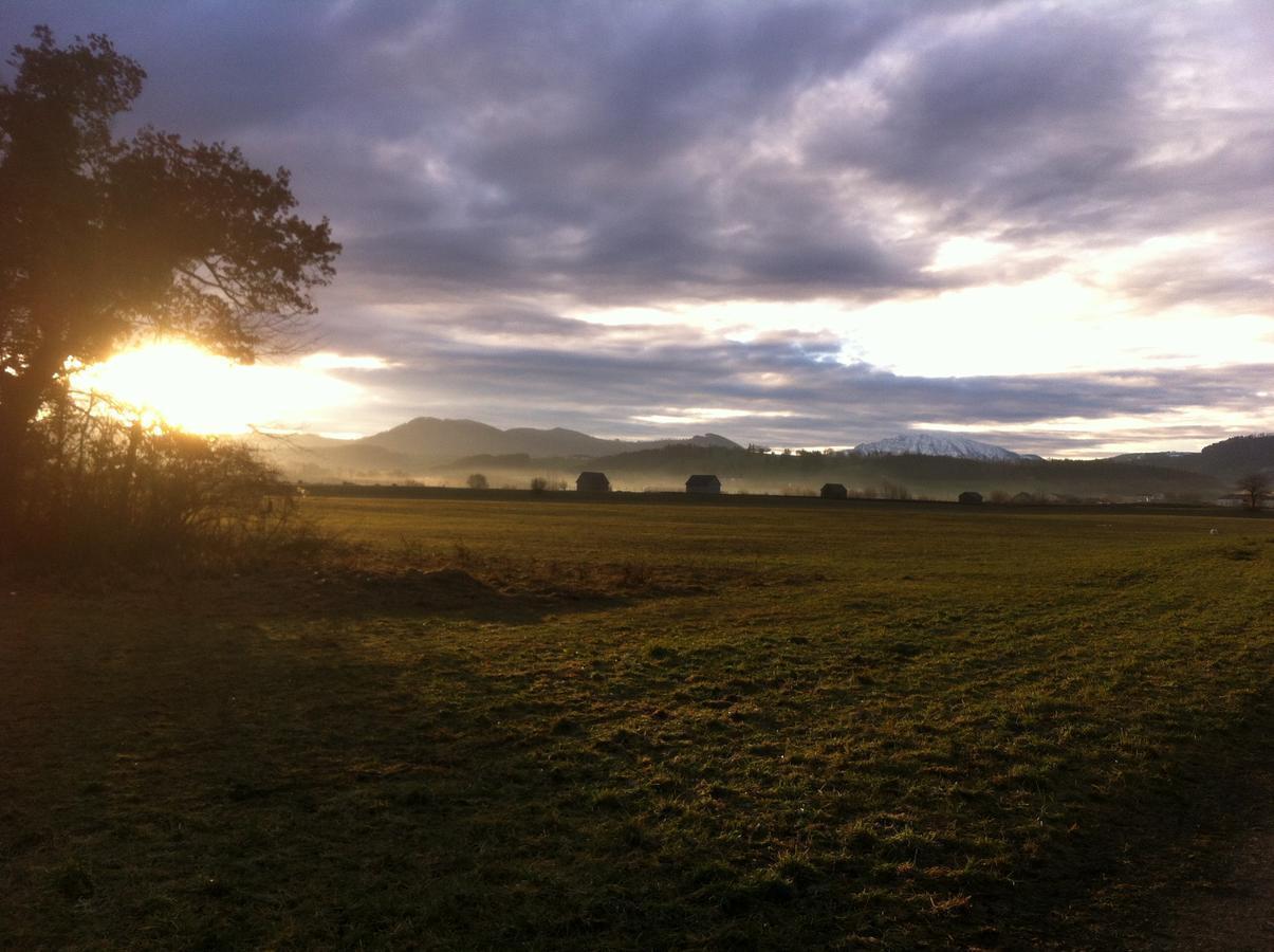 Gasthof Teufl Purgstall an der Erlauf Bagian luar foto