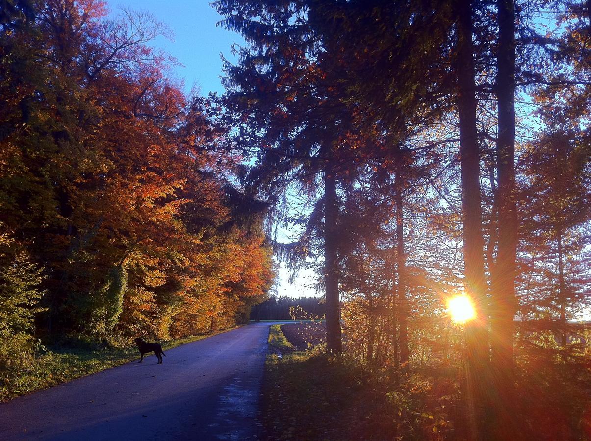 Gasthof Teufl Purgstall an der Erlauf Bagian luar foto