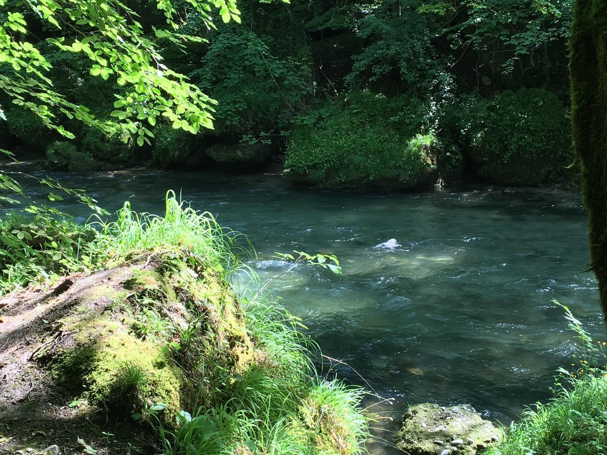 Gasthof Teufl Purgstall an der Erlauf Bagian luar foto